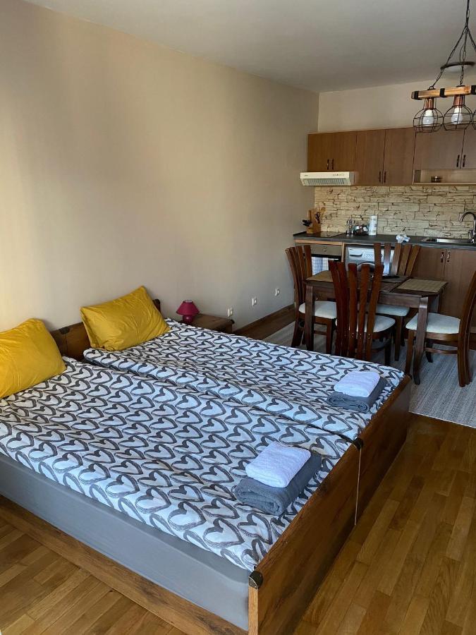 Bansko Spa Studio At Predela1 Экстерьер фото